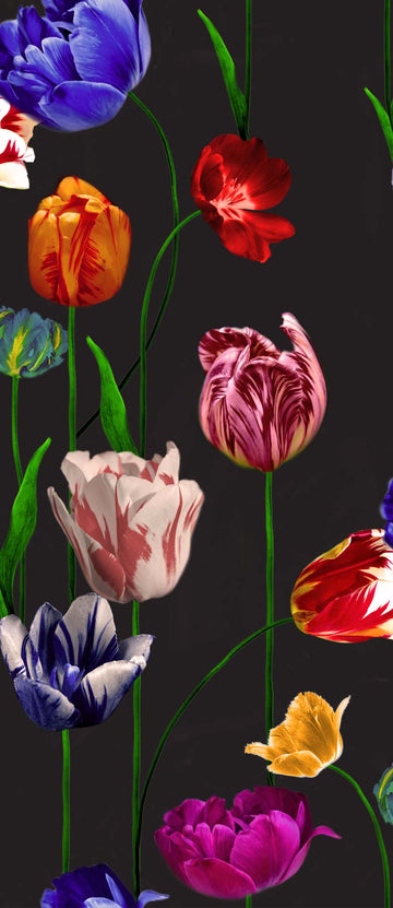 Blooming Tulips Removable Bathroom Wallpaper