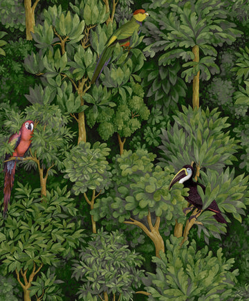 Amazonia Macaw Wallpaper by Aspiring Walls