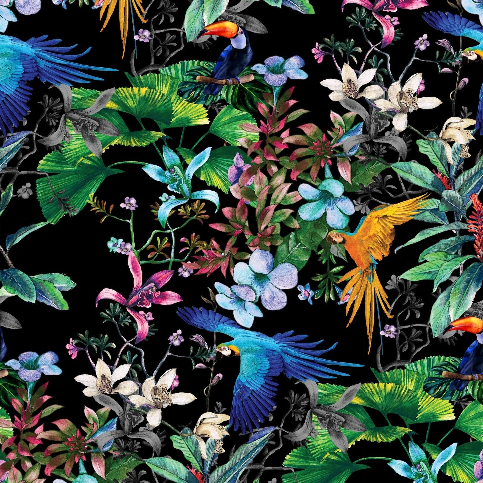 Birds of Paradise Fabric by Miss Lolo