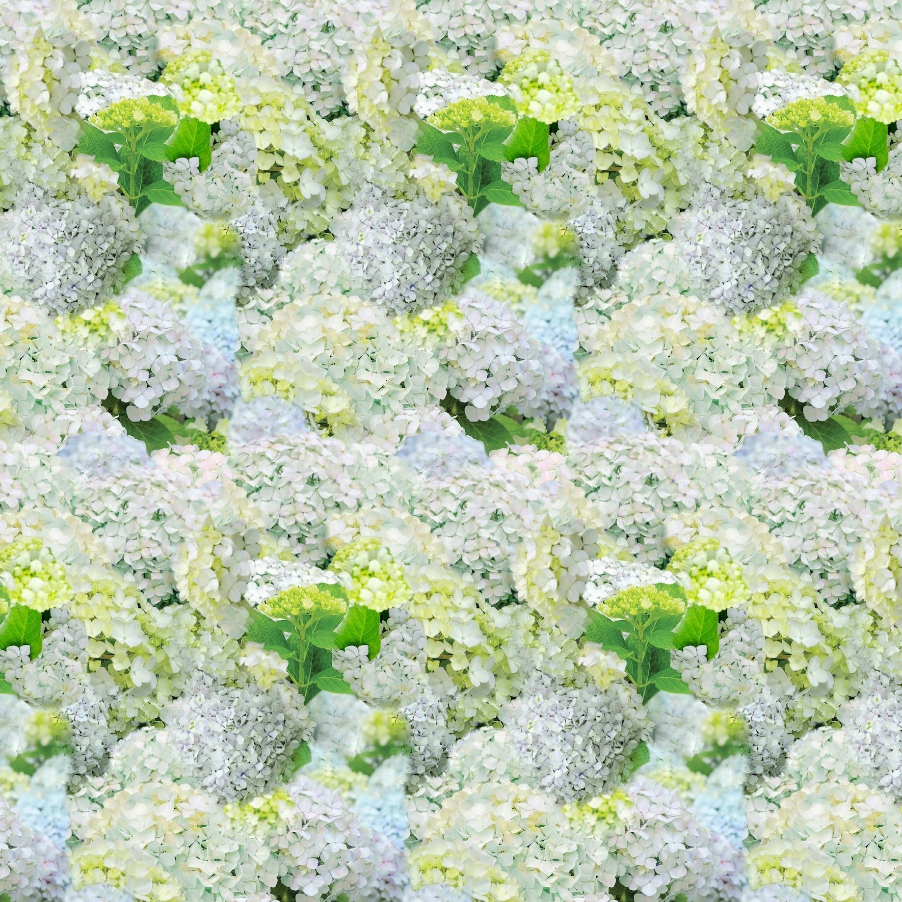 Happy Hydrangea Fabric by Miss Lolo