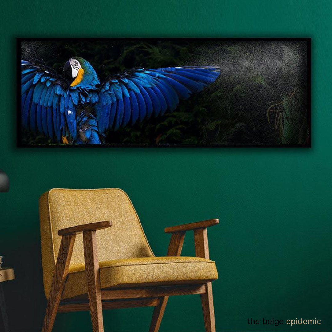 Macaw Rain Artwork by Miss Lolo